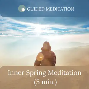 inner spring